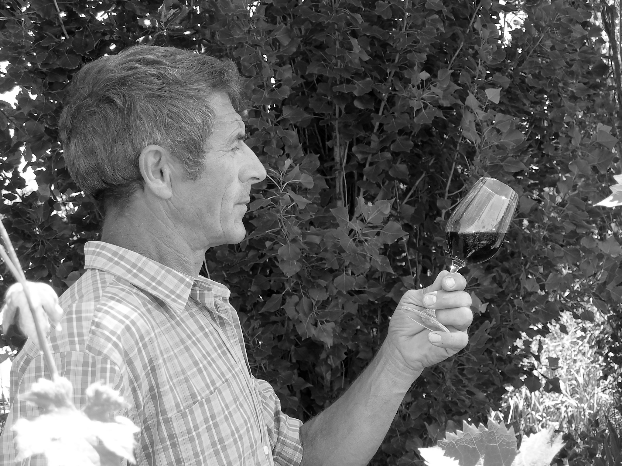 Claude dégustant un verre de vin